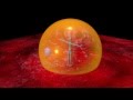 #2 Alien Knowledge "Light & Universal Medium" by TENNKAI
