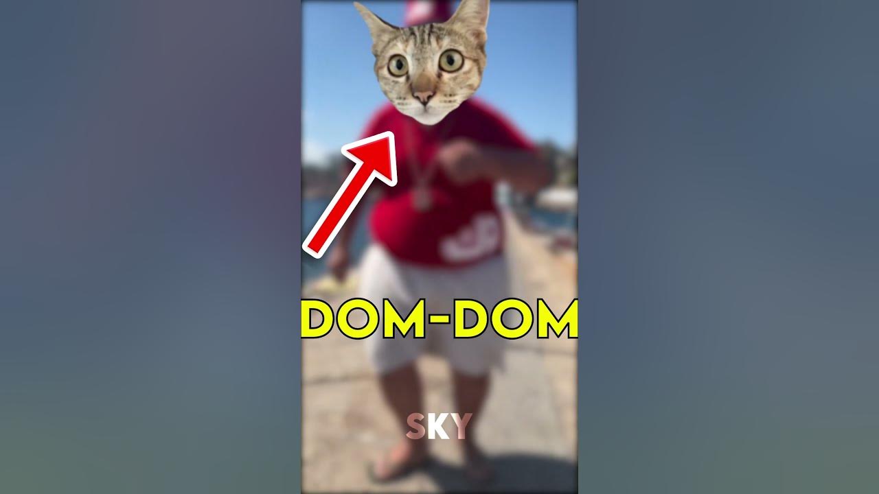 Who is the Skibidi Dom Dom Yes Yes Guy? #shorts #memes 
