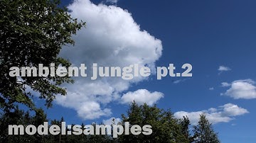Model:samples | Ambient jungle jam | Monowoman