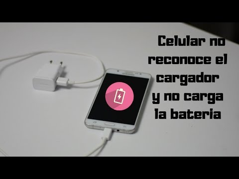 Celular no reconoce el cargador y no carga la bateria