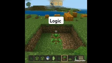 The Surprising Logic Behind Crafting and Building