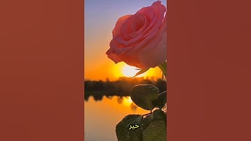 اذكار الصباح#المصحف #اكسبلور
