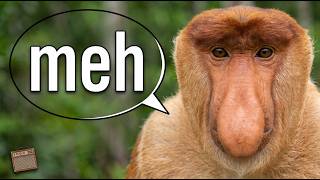 Music made with monkey