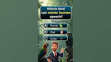 Your brain will spin after this 🤯 #quizzes #quizchallenge #trivia #triviachallenge #braintest #fyp