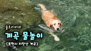 비오는 날 강아지와 계곡 물놀이😄 [포천시 지장산계곡] by 보리는 리트리버 9,768 views 1 year ago 8 minutes, 15 seconds