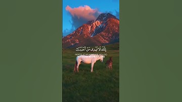 سورة القصص | الشيخ ياسر الدوسري