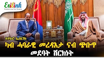 Eritrea & Saudi Arabia Summit: Security, Economy, and the Horn of Africa