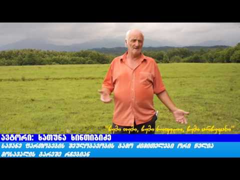ჩემი თემი, ჩემი სოფელი, ჩემი არჩევანი – ძიმითელები საყანე ფართობების შეღობვას ითხოვენ