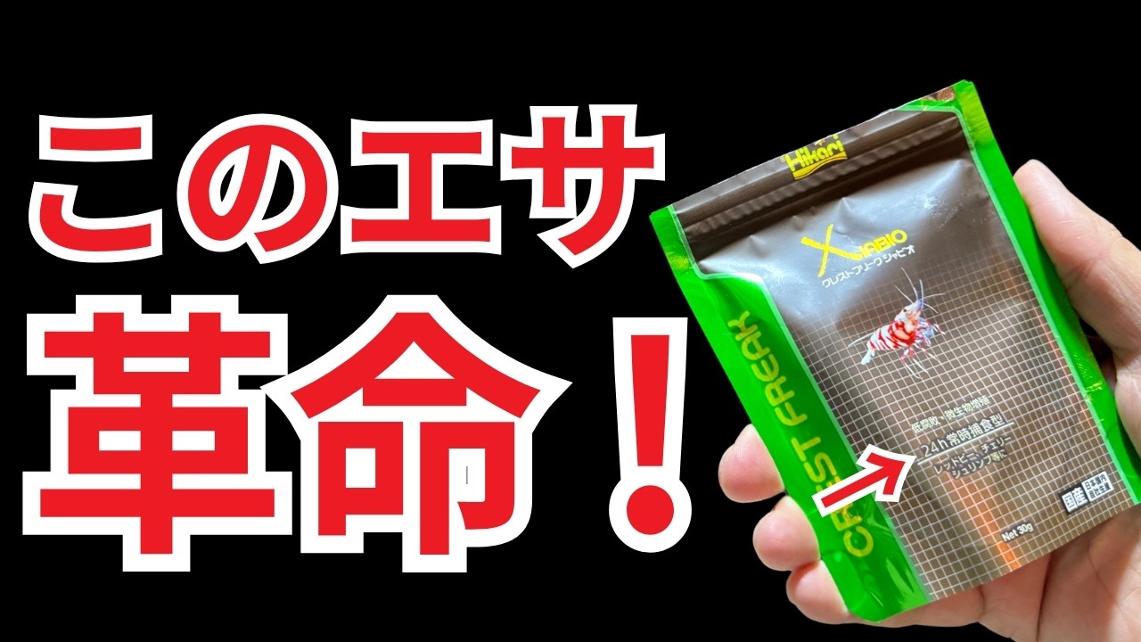 熱帯魚専門店の社長から教えてもらった、このエサが素晴らしすぎた