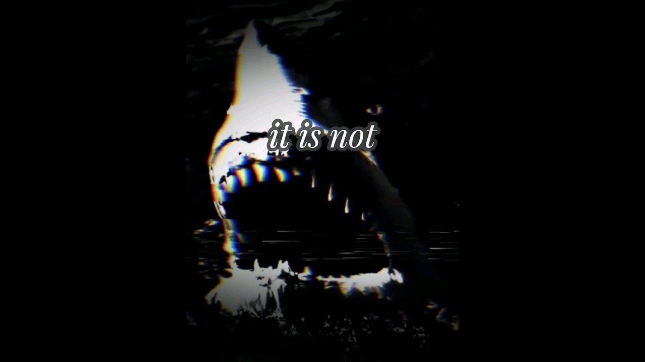 jaws 1975 (analog horror)