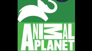 Animal Planet 2021