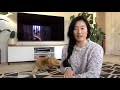 The best and worst things about owning a Jindo! (Leeann #1) の動画、YouTube動画。