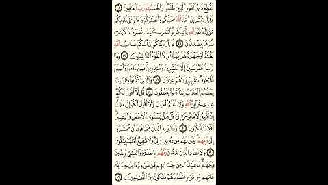 القران الكريم -سورة الانعام -ماهر المعيقلي -صوت جميل -تلاوة مريحة
