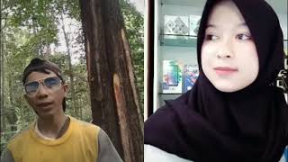 Tiktok regae slow rock