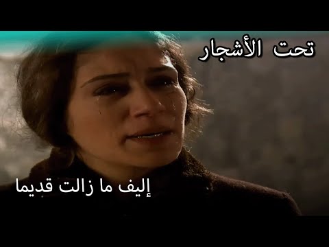 إليف ما زالت تحب يلماز سنوات الضياع مقطع خاص