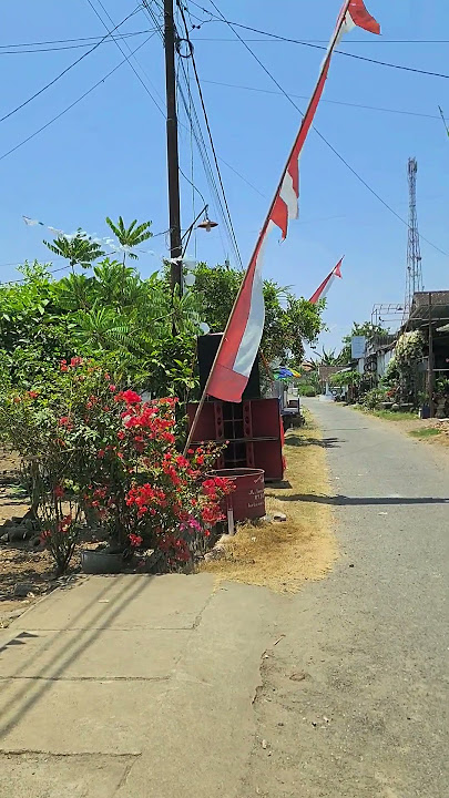 amorf dido kelud team