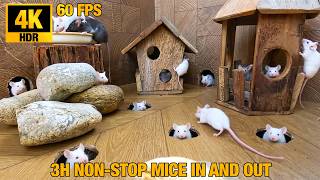CAT GAME 3H ➔ The Rustic Weathered Village: White & Grey Mice Timber Cabins & Boulder Pile in 4K HDR screenshot 1