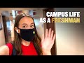 UCF Campus Life as a Freshman | The Campus Knights