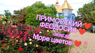 Приморский❤Феодосия ❤26.05.24             Море цветов ❤🌹🌹🌹