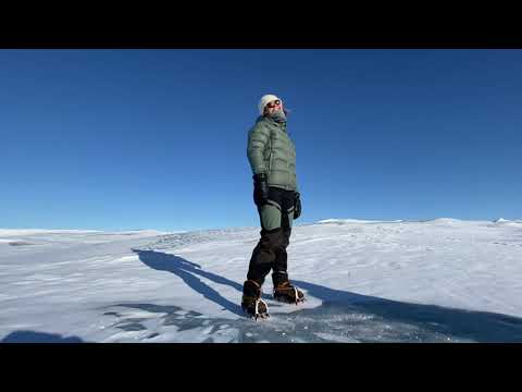 Video: Grønlandsisen Vil Smelte Etter Midten Av århundret, Sier økologer - Alternativ Visning