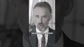If Youre Afraid Of Taking Risks...jordan Peterson