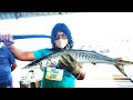 Cutting Barracuda Fish | Fish Cutting Skills | Knife Skills Sri Lanka