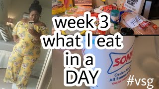 VSG WEIGHTLOSS WEEK 3 WHAT I EAT IN A DAY | SMALL GROCERY HAUL #weightlosssurgery #vsg