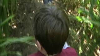 Pumpkin Patch, 2008