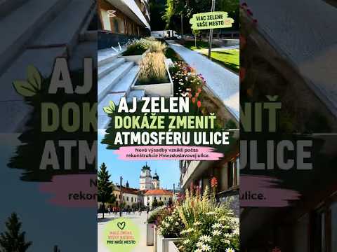 🌸 Takéto detaily robia Trenčín krajším | Nové výsadby na Hviezdoslavovej ulici #trencin