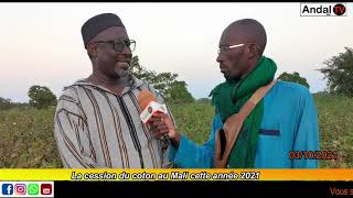 Elhaj Djoro Madou Diarra. La campagne agricole du coton au Mali (Secteur Koutiala) 2020 - 2021.