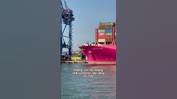 #short #viral #trieuview tàu container cặp cảng cái mép