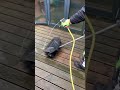 Deck cleaning with EGO Power+ BBA2100 Bristle Brush Attachment