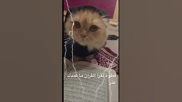 طاهر القلب نقي بادروا لله المصطفى الصفي صلى عليه الله 