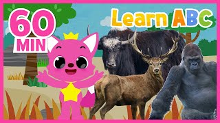 Learn Animals' Names with Pinkfong | +Compilation | English Vocabulary for Kids | Pinkfong ABC kids