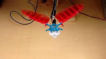 Prototype 1 3 : Bird