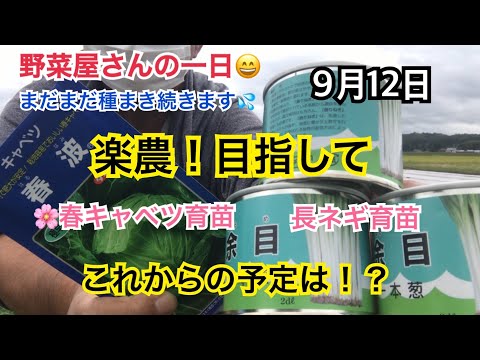 玉ねぎ種まき終了後 ゲリラ豪雨 9月12からの予定です 野菜屋さんの一日 本日透析日 Youtube