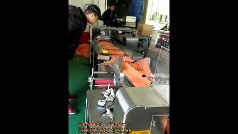 Full automatic multi sausage flow packing machine