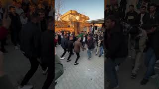 Piyanist Emir Halay Başı Serveti Baştan Cikartı