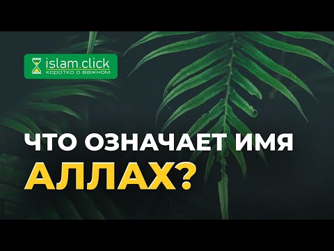 Что означает имя Аллах? | Абу Яхья Крымский | Коротко о важном