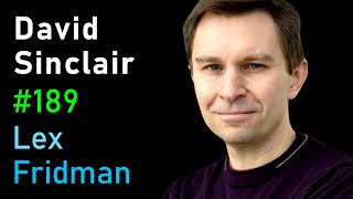 David Sinclair: Extending the Human Lifespan Beyond 100 Years | Lex Fridman Podcast #189 screenshot 4