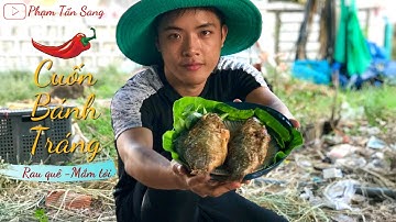 Bắt Cá Rô To Chiên Xù Chấm Mắm Me Giòn Rụm | Phạm Tấn Sang