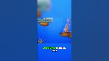 Jellyfish: No Brain, No Heart! 🤯