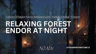 Ewok Village Night Ambience 🌙 Endor Forest Sounds, Crickets & Soft Wind | 5 Hours Relaxation screenshot 2