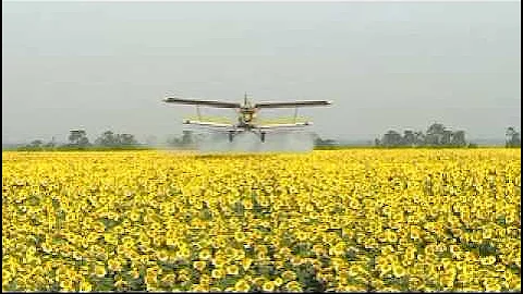 OUR DAILY BREAD Trailer | From filmmaker Nikolaus Geyrhalter