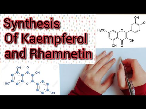 Vídeo: Kaempferol Como Flavonoide Induce La Diferenciación Osteoblástica A Través De La Señalización Del Receptor De Estrógenos