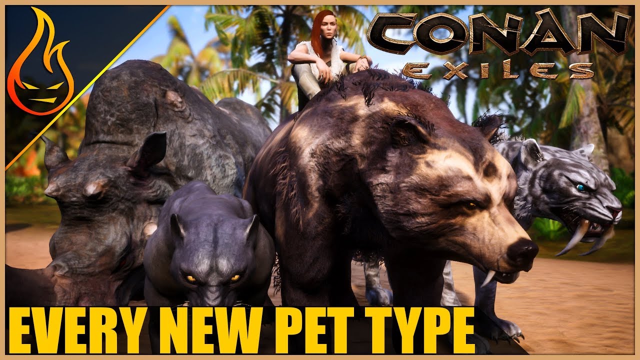 Every New Pet Their Hit Points And What They Eat | Conan ...