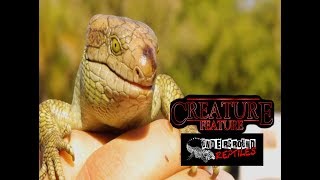 Creature Feature 1/16/19