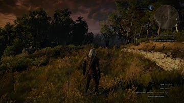 Witcher 3 - radish modding tools - first quest