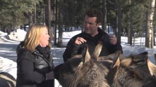 RMR: Rick and Jann Arden at the Donkey Sanctuary