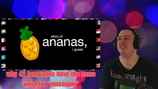 Frenchman Reacts To why 42 languages have the same word for "pineapple"